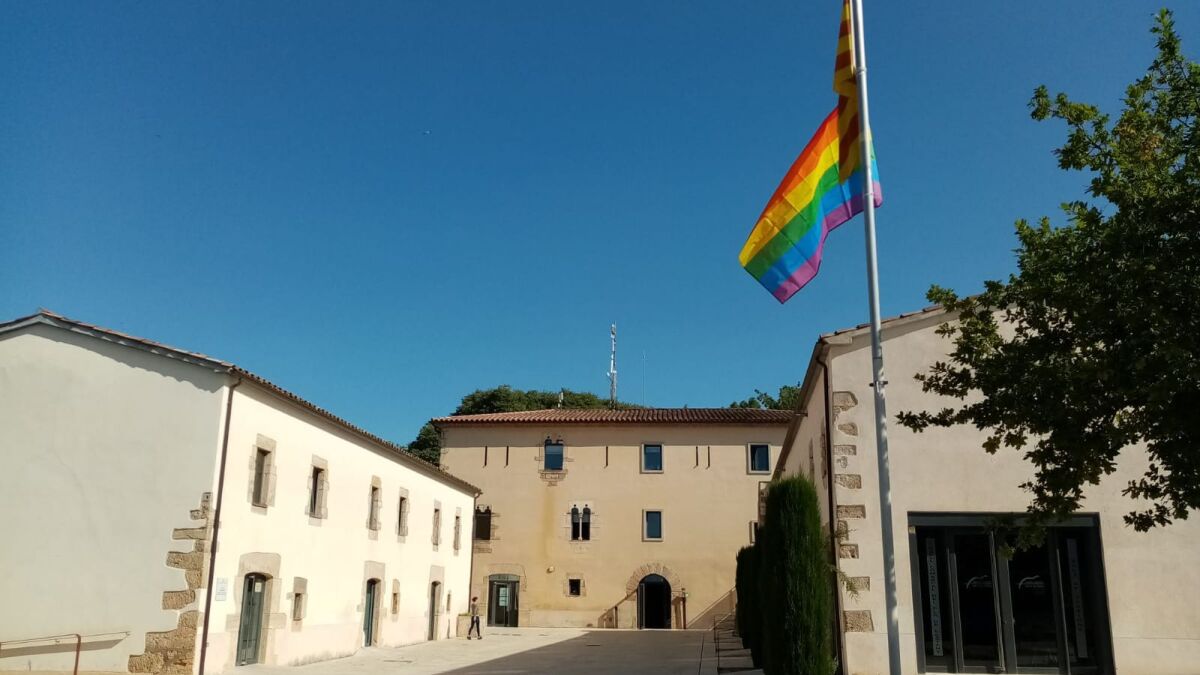 L’àrea De Benestar Social Del Consell Comarcal Promou La Campanya ‘Què ...