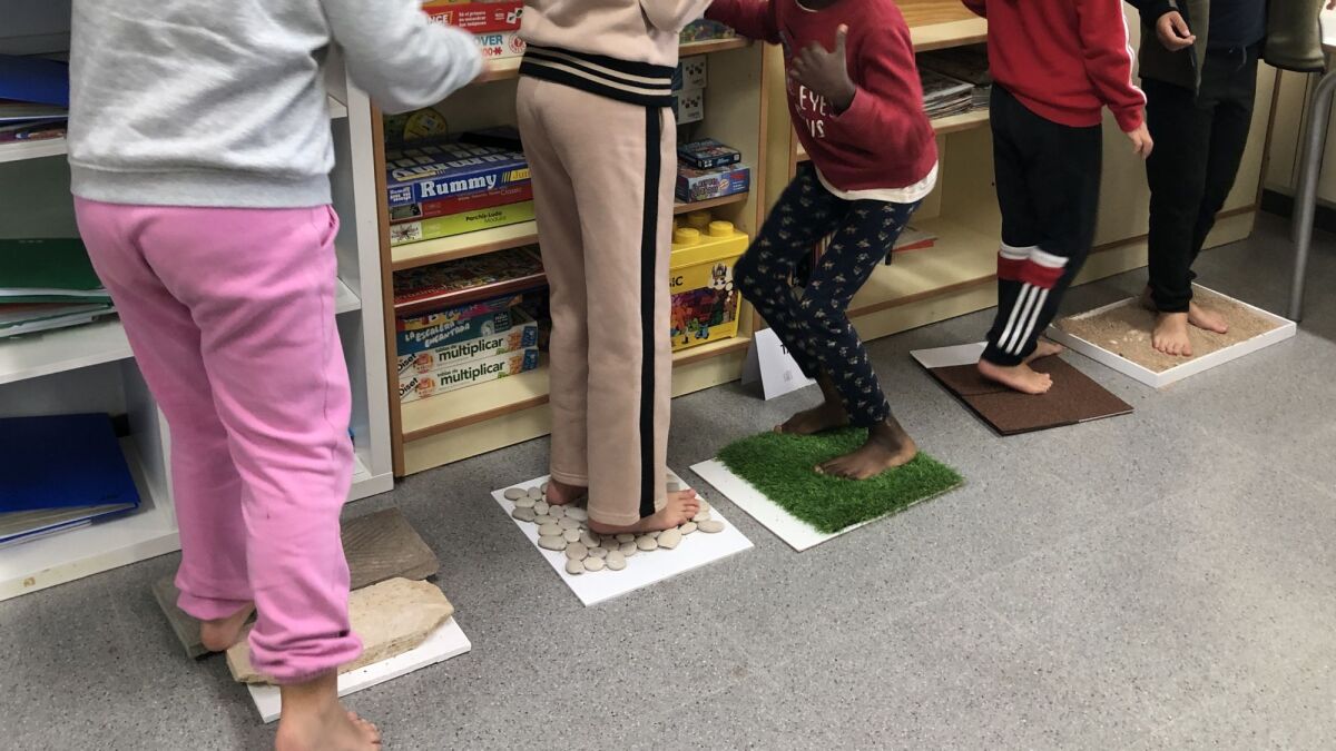Les diverses propostes del projecte han anat a càrrec de l'Escola de Natura.