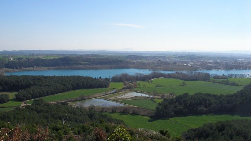El Puig Clarà s’afegeix a altres zones gestionades públicament pel Consorci, com les llacunes de Can Morgat o el paratge de les Cigonyes.