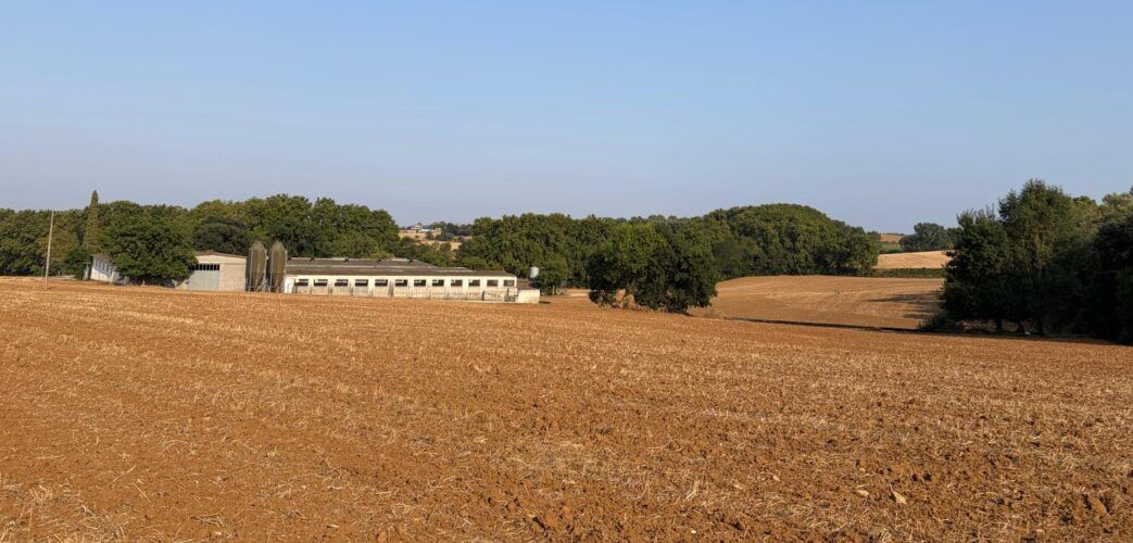 El sindicat subratlla “el paper que la ramaderia i l’agricultura juguen a l’hora de mantenir el paisatge net”. (F: Unió de Pagesos)